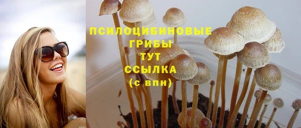 ГАЛЛЮЦИНОГЕННЫЕ ГРИБЫ Алексин