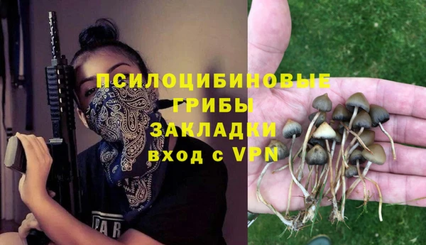 молекула духа Алексеевка