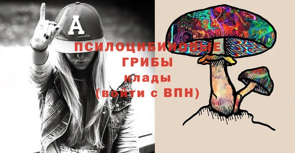 spice Алзамай