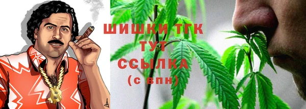 молекула духа Алексеевка